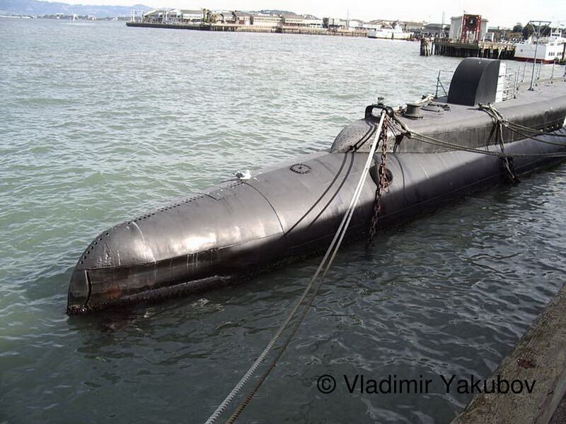 481.jpg