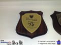 2011 - ClubM+TN - 7° AVES Vega - 234 Crest appeso in Comando 800