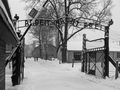 2010 12 29 - Polonia - 072 Auschwitz