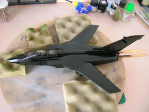 Tornado IDS - 071.JPG