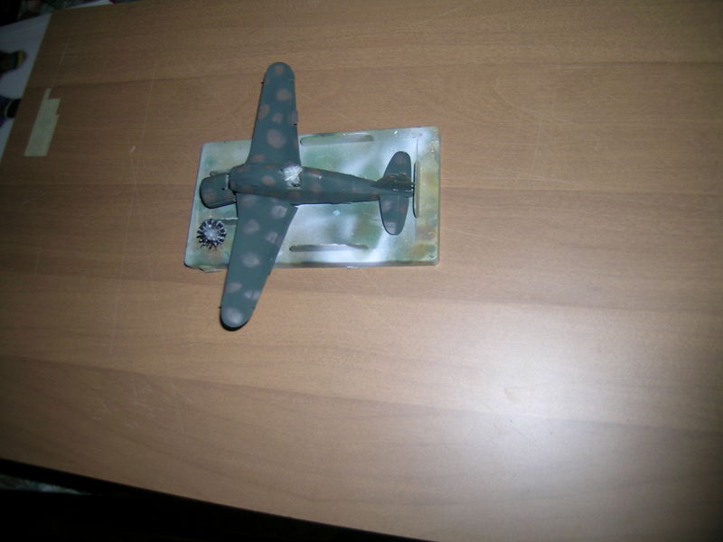 DSCN6887