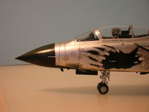 Tornado IDS - 097.JPG