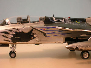 Tornado IDS - 098.JPG