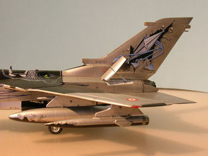 Tornado IDS - 100.JPG