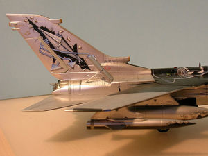 Tornado IDS - 101.JPG