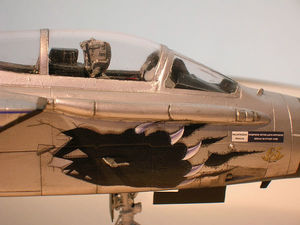 Tornado IDS - 104.JPG