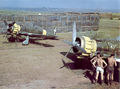 Macchi_20200-03