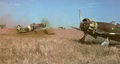 Macchi_20200-06