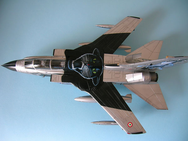 Tornado IDS - 113.JPG