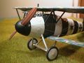 Albatros34