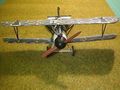 Albatros42