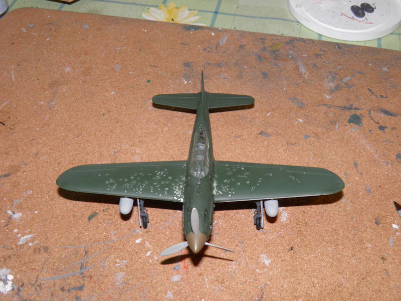 P4221425b