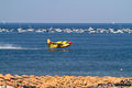 Canadair 