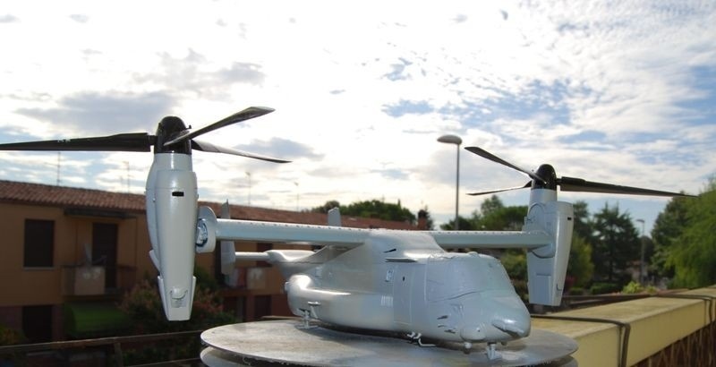 osprey (1)