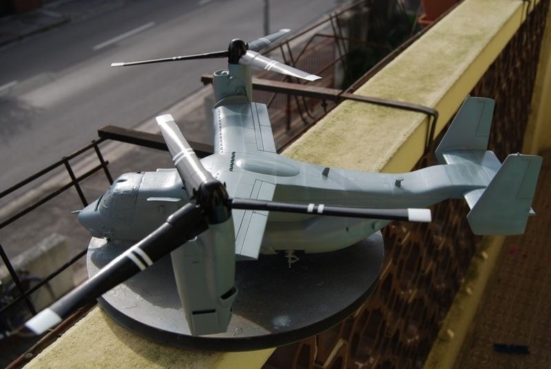 osprey (4)
