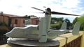 osprey (6)