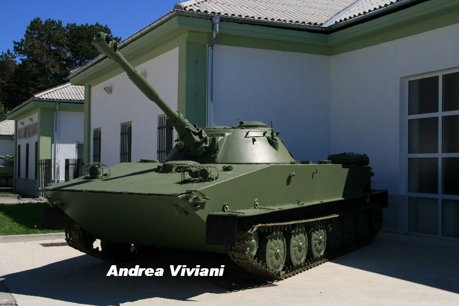 pivka (5)