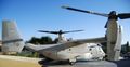 Osprey finito (2)