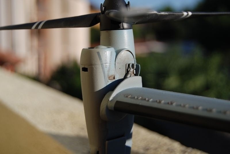 Osprey finito (3)