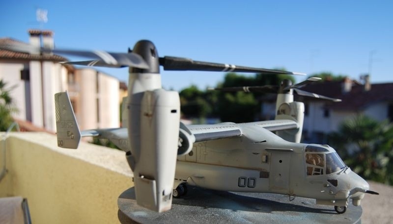 Osprey finito (8)