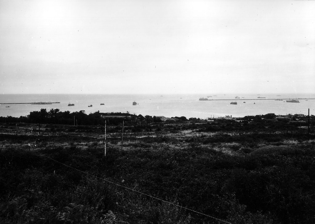659.jpg