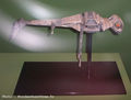 Expo_Star_Wars_1308