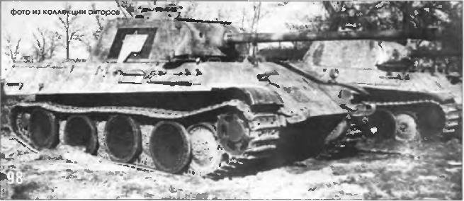 1245.jpg