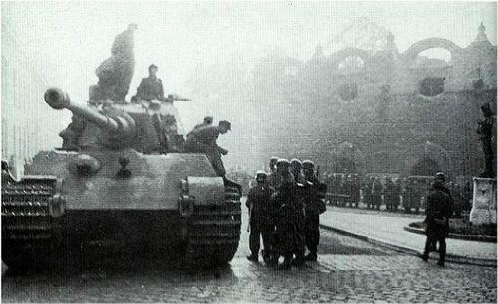 2474.jpg