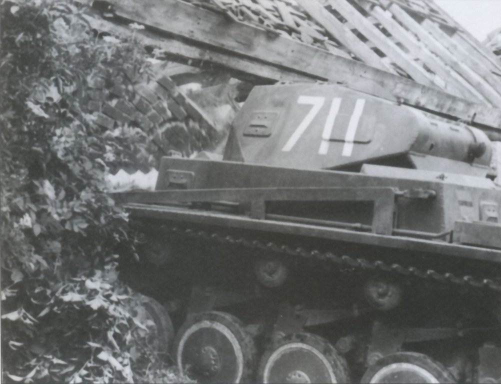 645.jpg