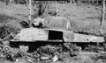 d1006.jpg