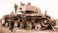 d1164.jpg