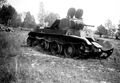 d1167.jpg