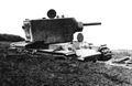 d1192.jpg