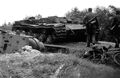 d1198.jpg