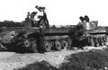 d1204.jpg