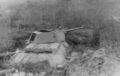 d1229.jpg