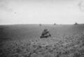 d1230.jpg