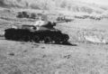 d1233.jpg