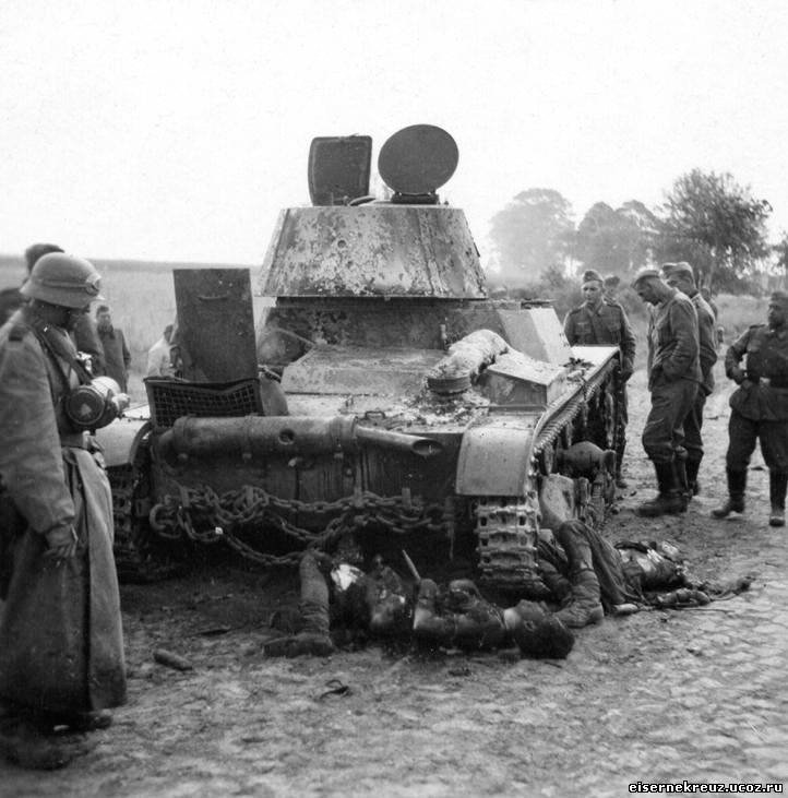 d1235.jpg