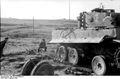 d1101.jpg
