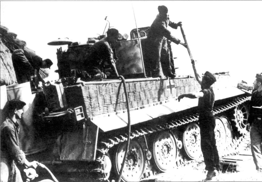 d1112.jpg