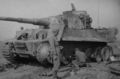 d1119.jpg