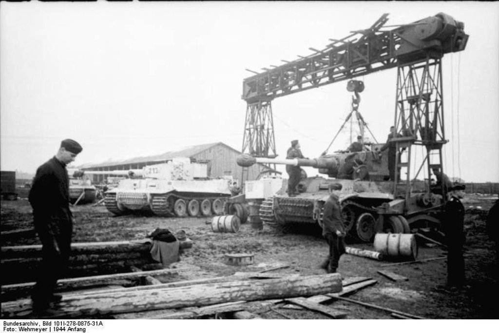 d1134.jpg