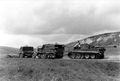 d1144.jpg