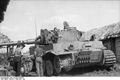 d1145.jpg