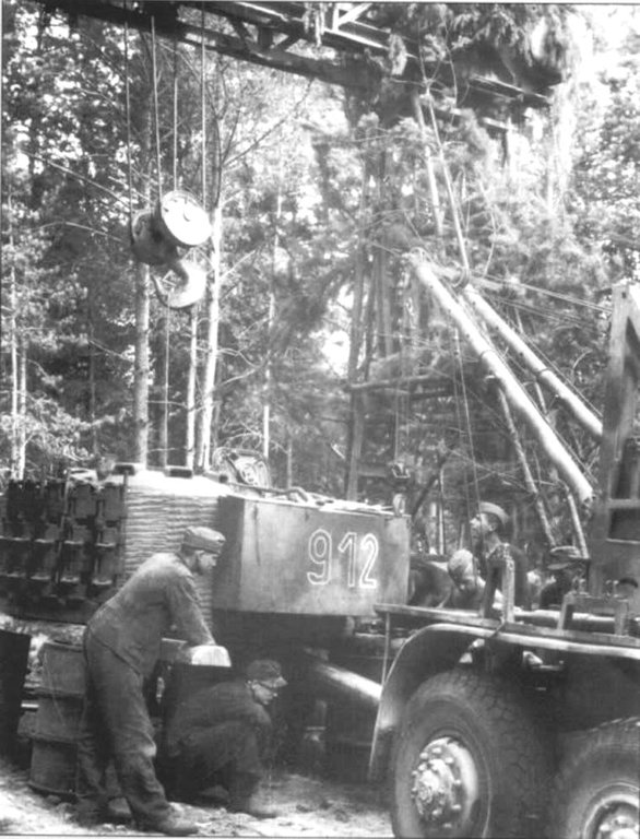 d1155.jpg