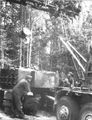d1155.jpg