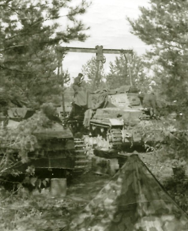 d1160.jpg