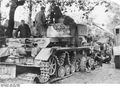 d1161.jpg