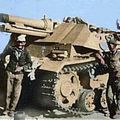d1075.jpg